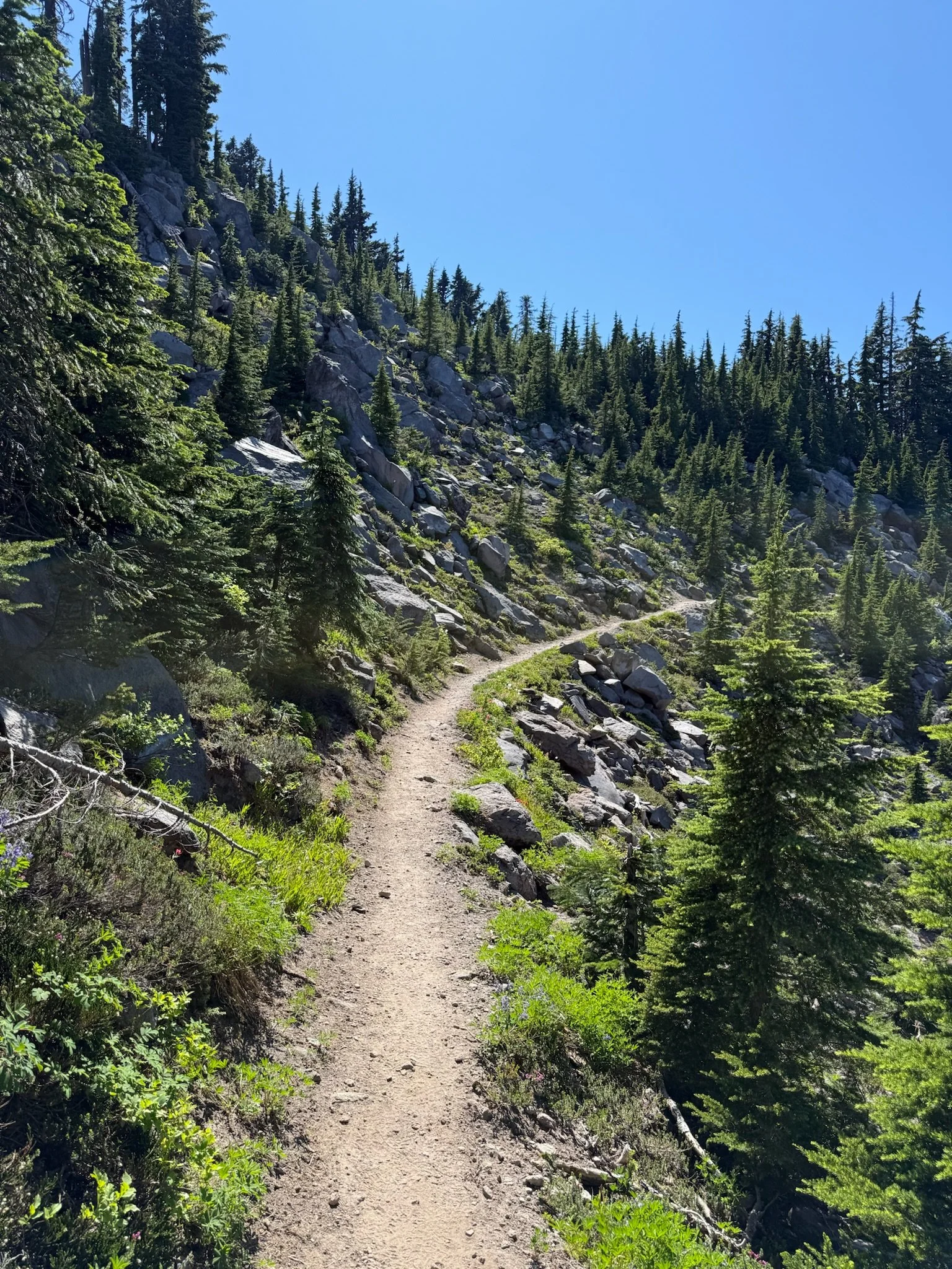 Mt. Hood — group push