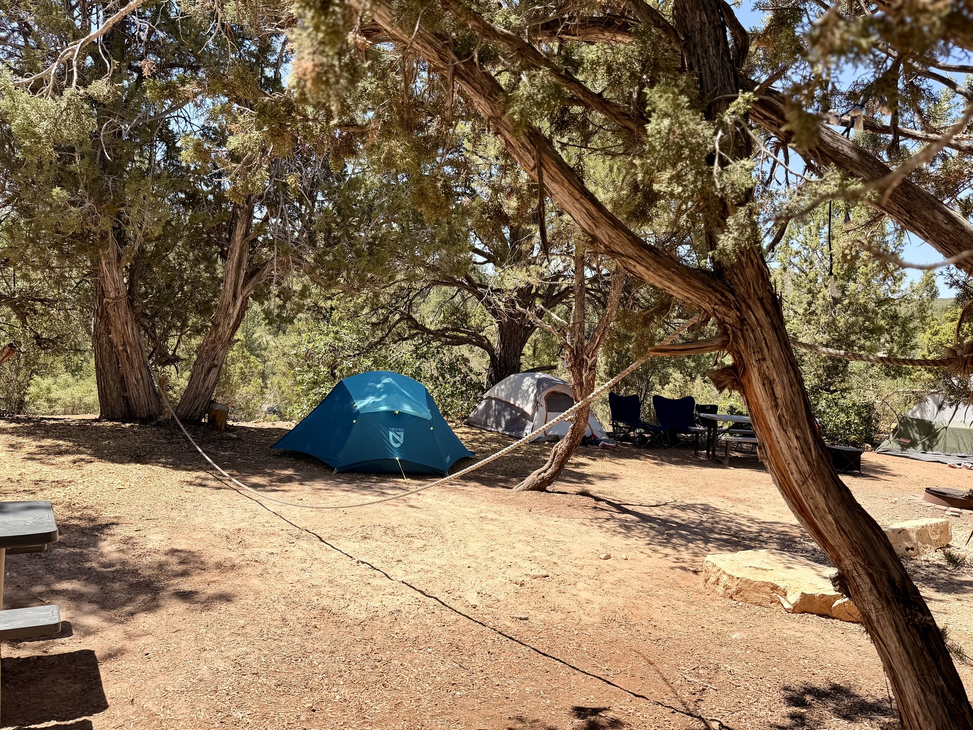 Several tents beneath mature trees at the Zion Ponderosa campground