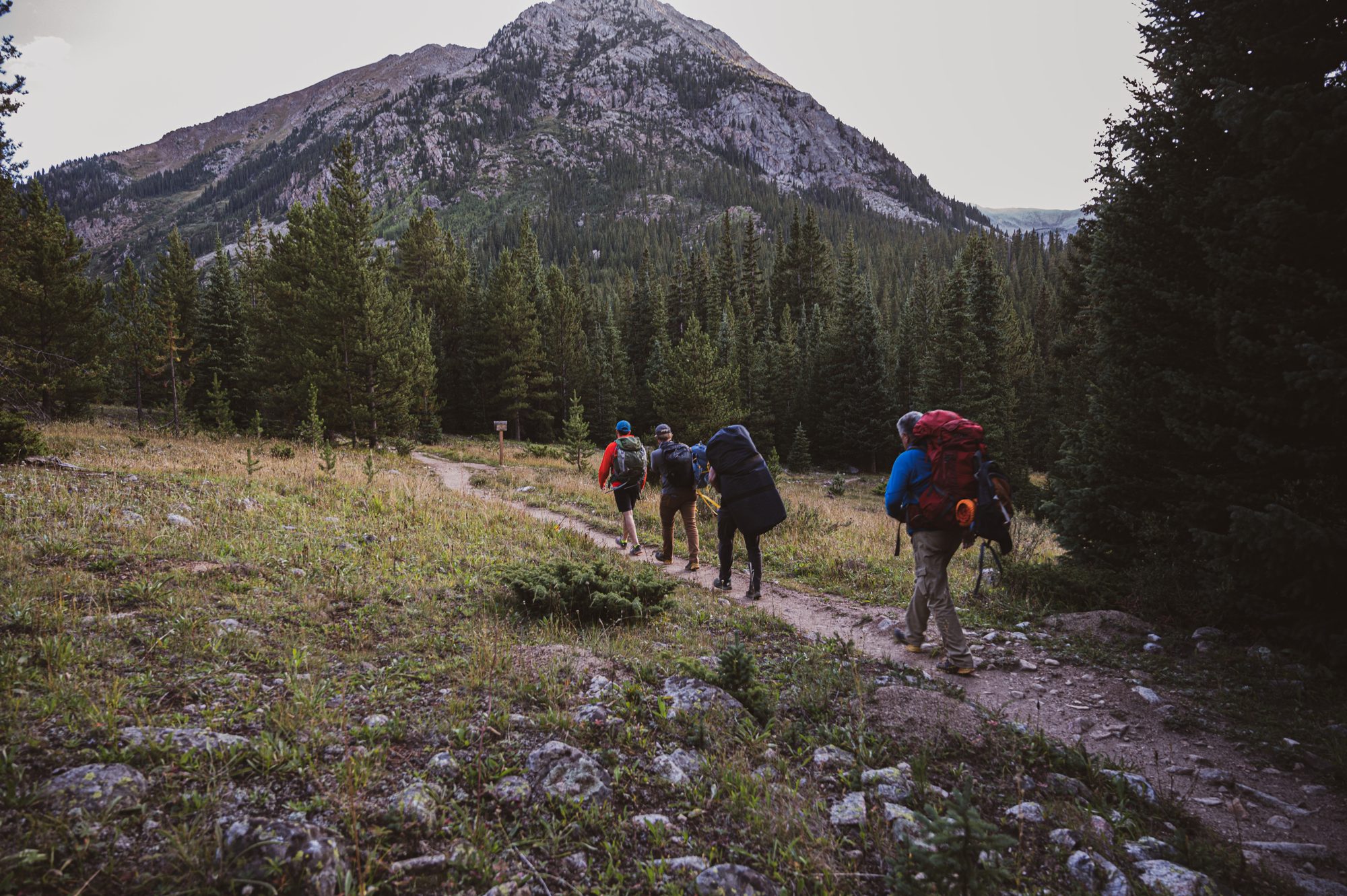 Mt. Huron — hiking into the wilderness