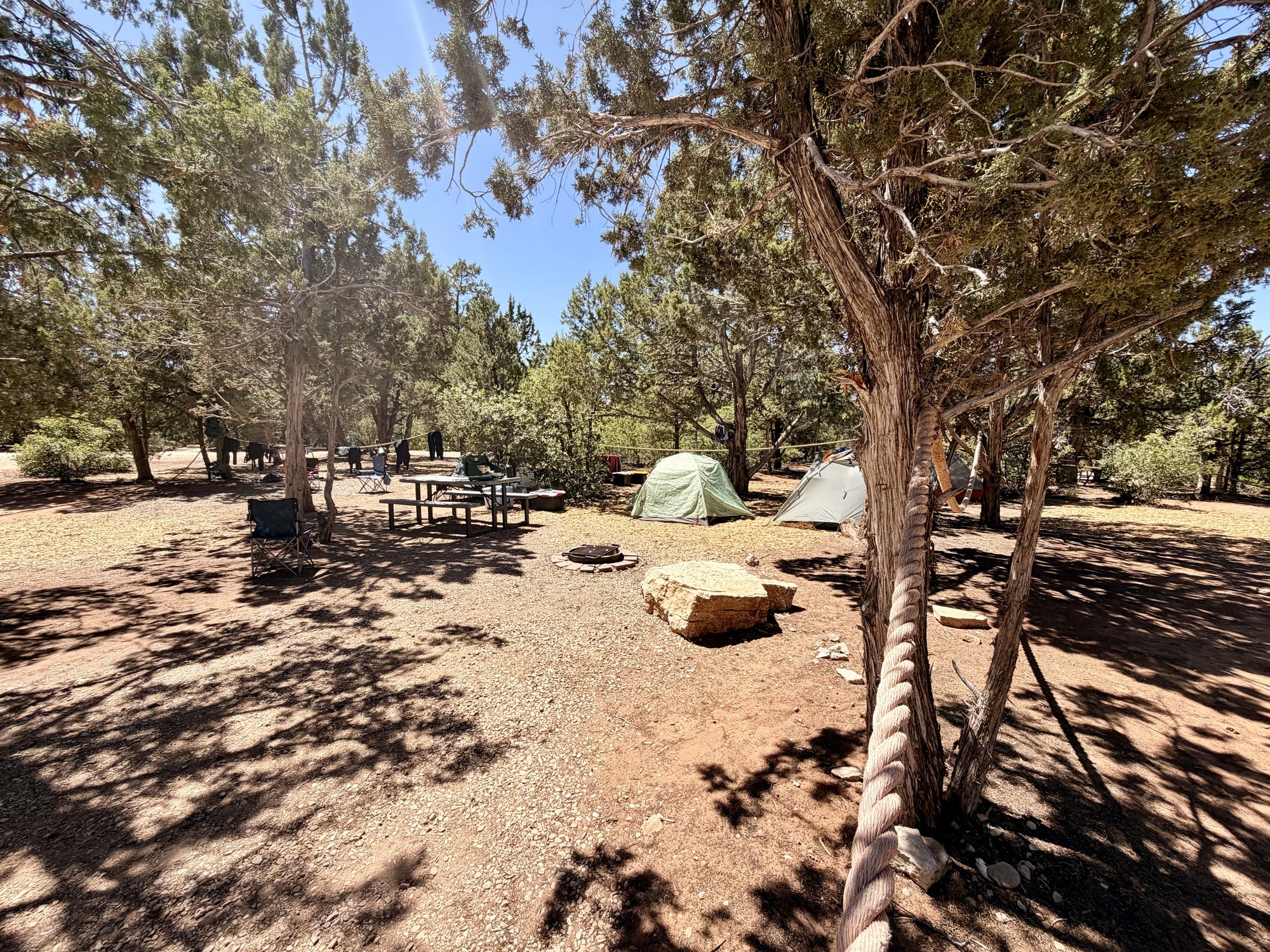 Wooded campground with tents, picnic tables, and a fire ring at Zion Ponderosa