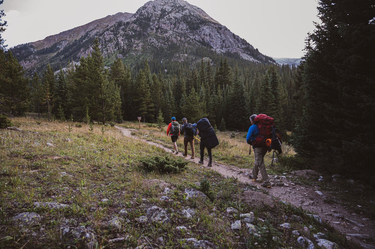 Mt. Huron — pre-dawn