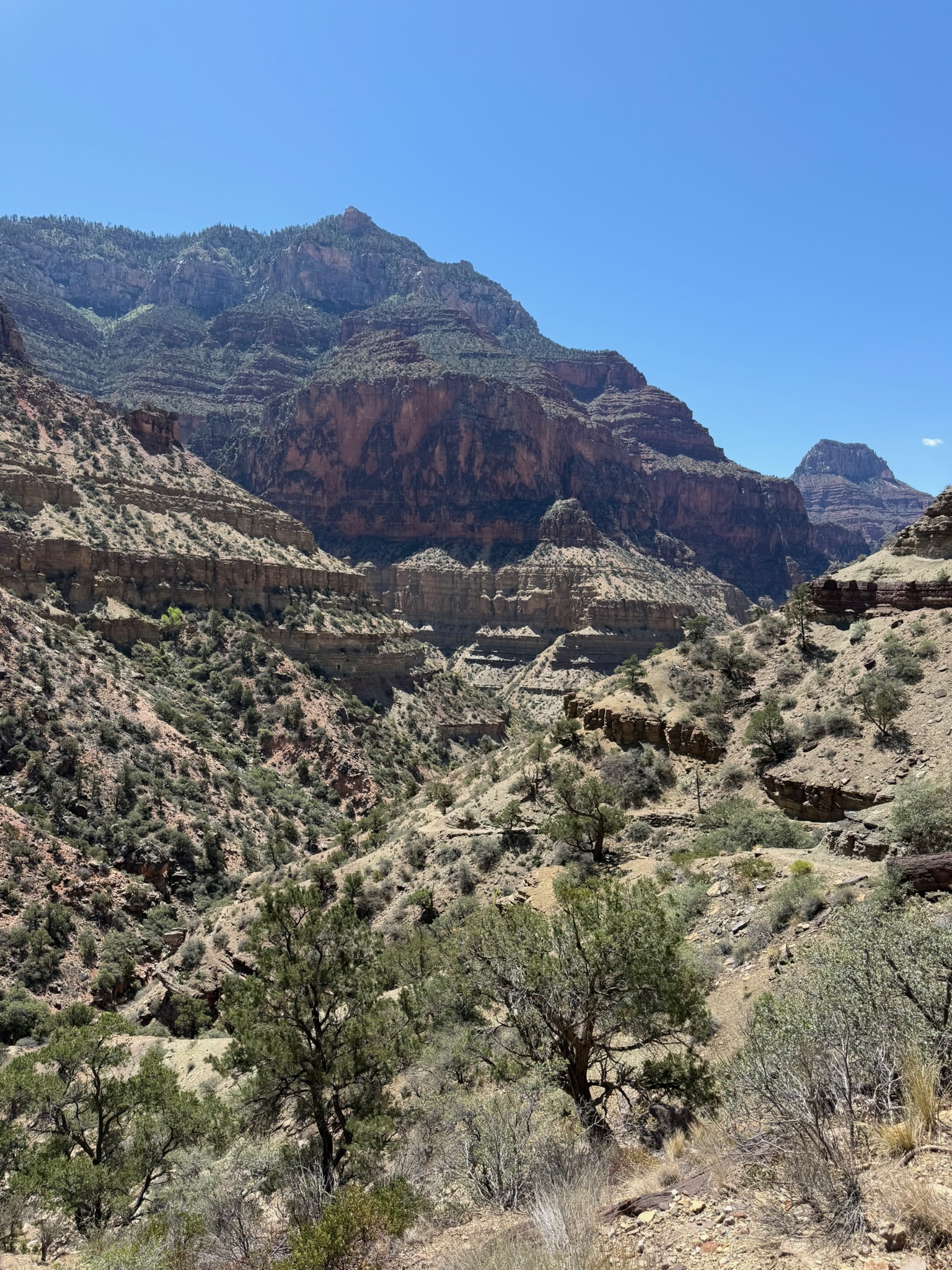 Layered canyon walls rising from the inner gorge