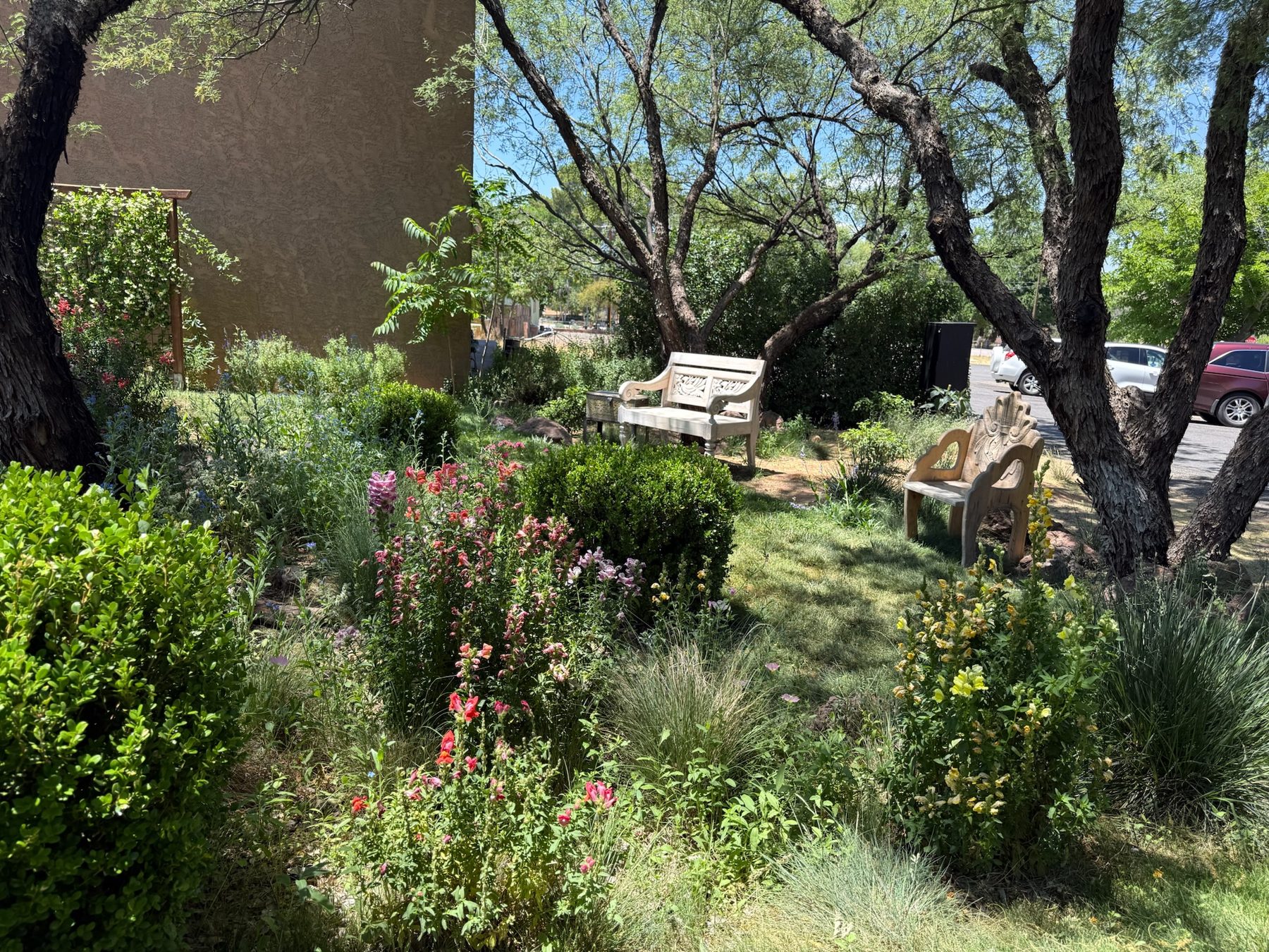 Grand Canyon — on the trail