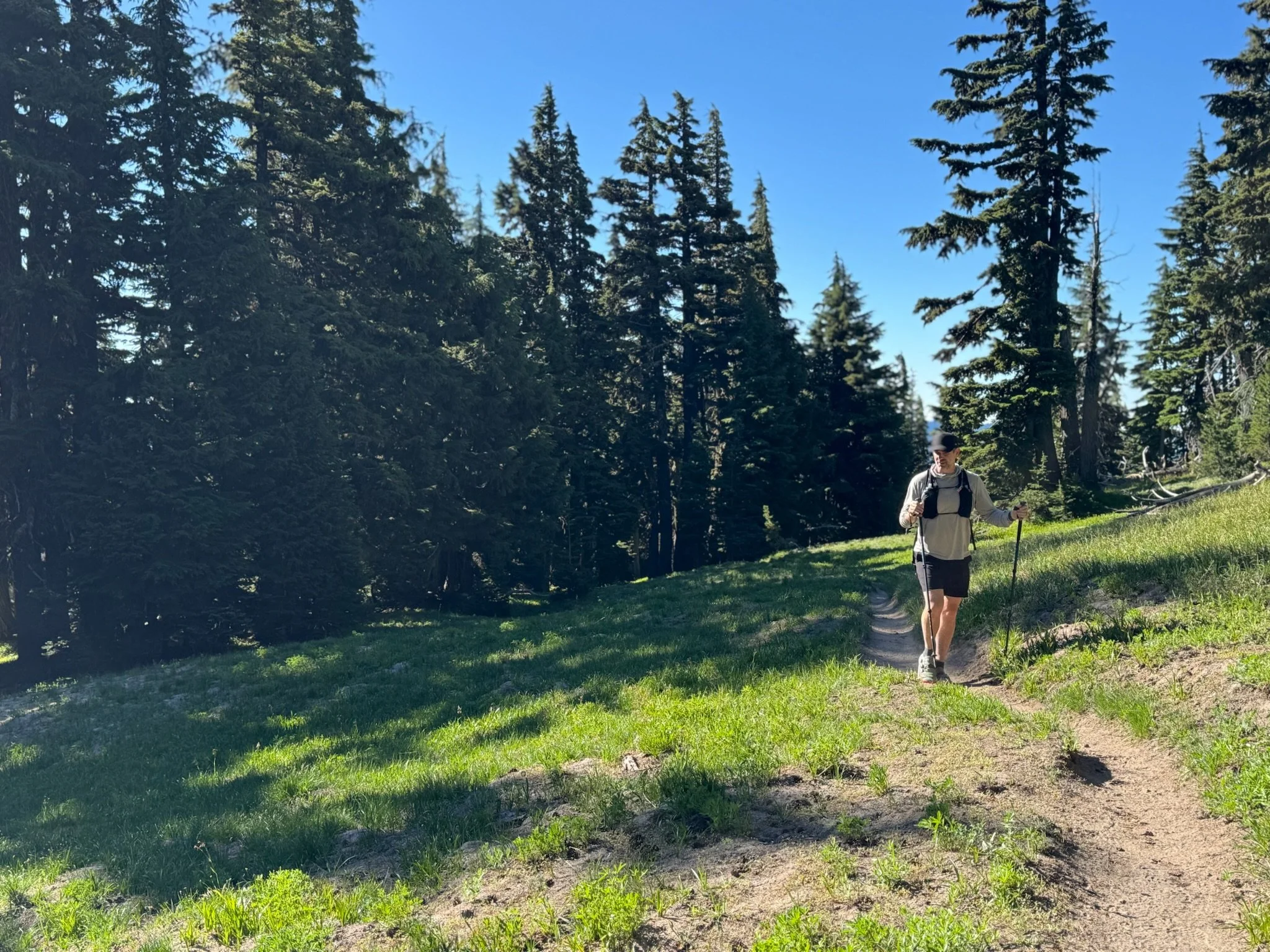 Mt. Hood — trailside